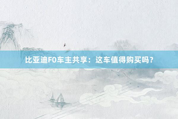 比亚迪F0车主共享：这车值得购买吗？